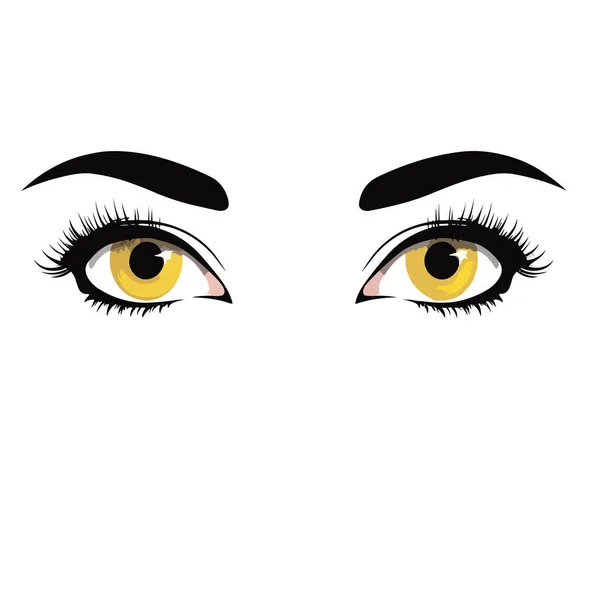 Kvinna Två Ögon Närbild Vektor Platt Isolerad — Stock vektor