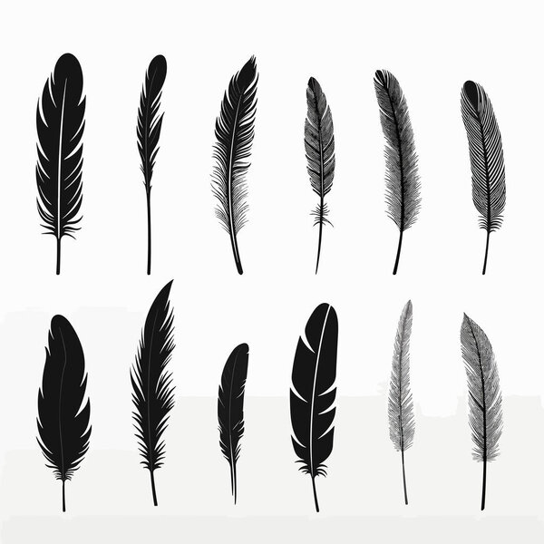 black feather set LU set vector flat isolated illustration
