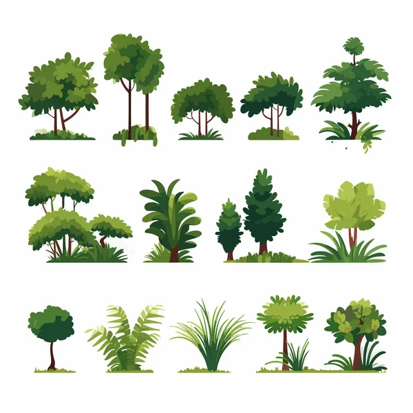 Conjunto Florestal Vetor Plano Minimalista Ilustração Isolada — Vetor de Stock