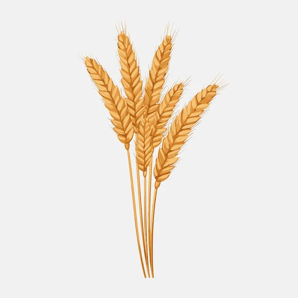 Пшеничный Вектор Плоского Минималистического Актива — стоковый вектор