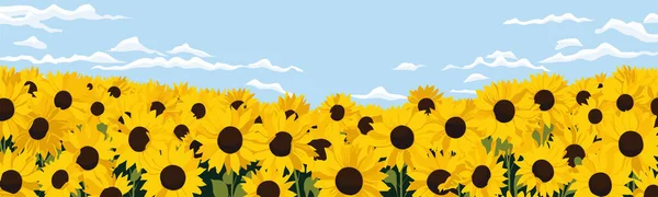 Field Sunflowers Vector Simple Smooth Cut Isolated Illustration — Stock Vector