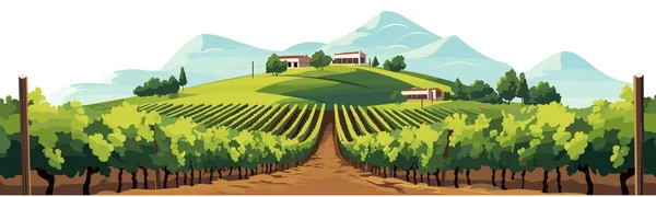Vineyard Vector Simple Smooth Cut Paste Isolated Illustration — Stock Vector