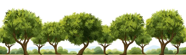 Gaj Drzew Oliwnych Wektor Proste Gładkie Cięcia Pojedyncze Ilustracja — Wektor stockowy