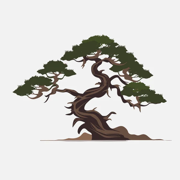 Bonsai Baum Vektor Flache Minimalistische Isolierte Illustration — Stockvektor