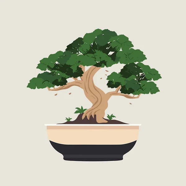 Bonsai Baum Vektor Flache Minimalistische Isolierte Illustration — Stockvektor