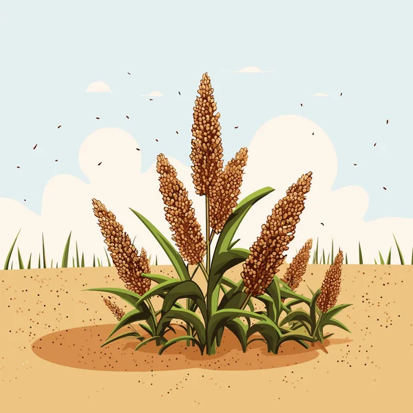 Quinoa Vektörü Düz Minimalistik Varlık Izole Çizimi — Stok Vektör