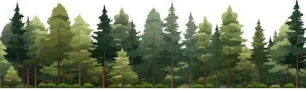 Щільний Сосновий Ліс Вектор Простий Гладкий Розріз Ізольовані Ілюстрації — стоковий вектор