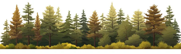 Dense Pine Forest Vector Simple Smooth Cut Isolated Illustration — Stock Vector
