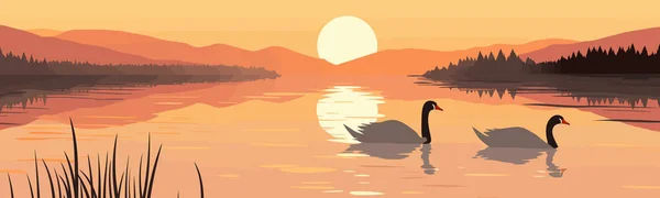 Спокійна Сцена Лебедів Озері Світанку Векторні Ізольовані Ілюстрації — стоковий вектор