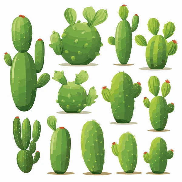 Набір Opuntia Cactus Векторні Плоскі Мінімалістичні Ізольовані Ілюстрації — стоковий вектор
