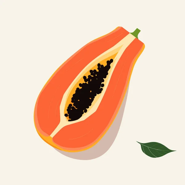 Hälften Papaya Vektor Platt Minimalistisk Isolerad Illustration — Stock vektor