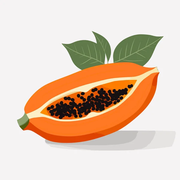 Helft Van Papaya Vector Platte Minimalistische Geïsoleerde Illustratie — Stockvector