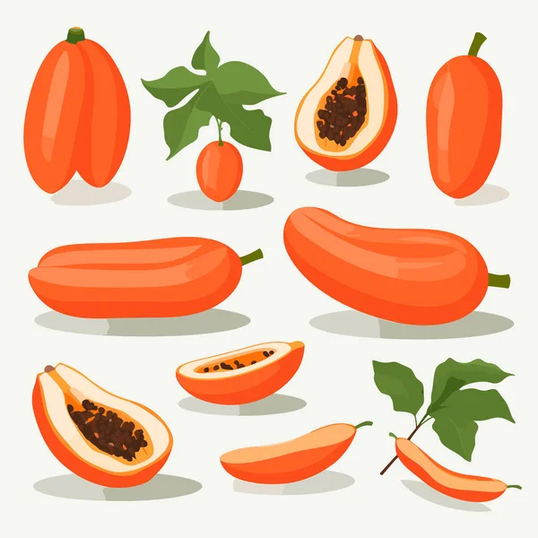 Papaya Set Vektor Lapos Minimalista Izolált Illusztráció — Stock Vector