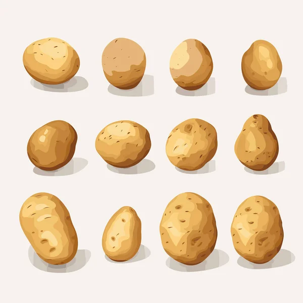 土豆逼真集向量平面极小孤立的例子 — 图库矢量图片