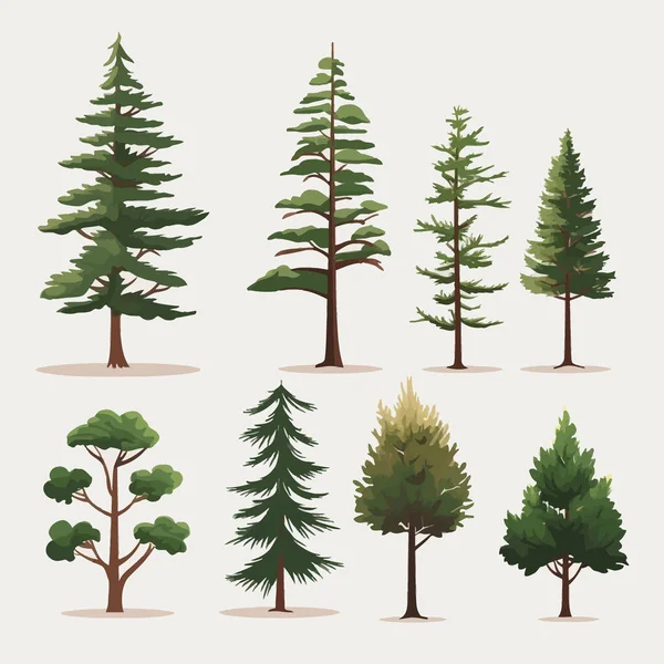 松树集向量平面简约孤立的插图 — 图库矢量图片