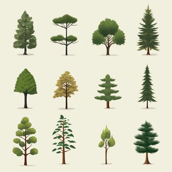 松树集向量平面简约孤立的插图 — 图库矢量图片