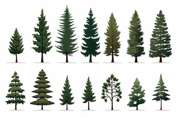 Pine Trees Set Vector Flat Minimalistic Isolated Illustration — Stock Vector