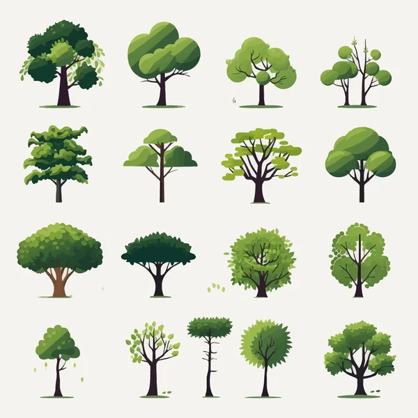 Деревья Дождевых Лесов Устанавливают Векторные Плоские Минималистичные Изолированные Иллюстрации — стоковый вектор