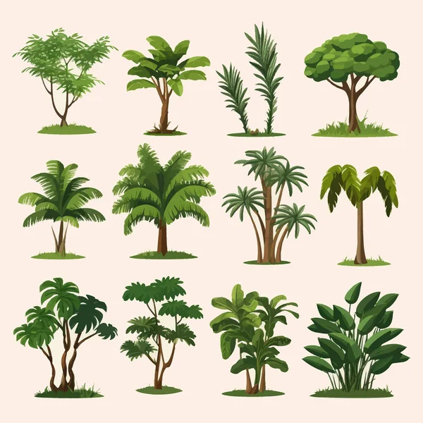Árvores Floresta Tropical Conjunto Vetor Plano Minimalista Isolado Ilustração — Vetor de Stock