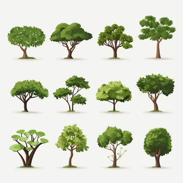 Árboles Arbustos Conjunto Vector Plano Minimalista Aislado Ilustración — Vector de stock