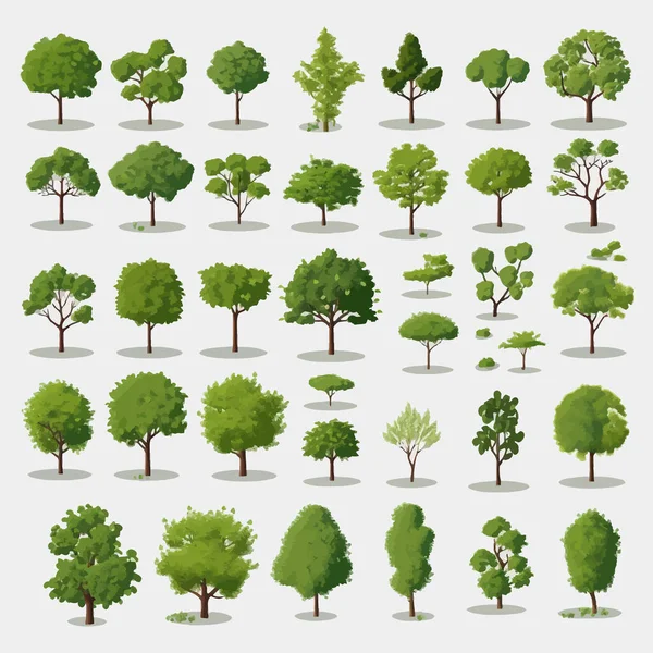 Bäume Draufsicht Set Vektor Flach Minimalistisch Isoliert Illustration — Stockvektor