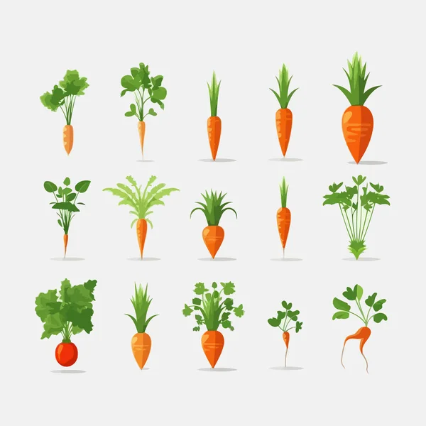 Zanahorias Conjunto Vector Plano Minimalista Aislado Ilustración — Vector de stock