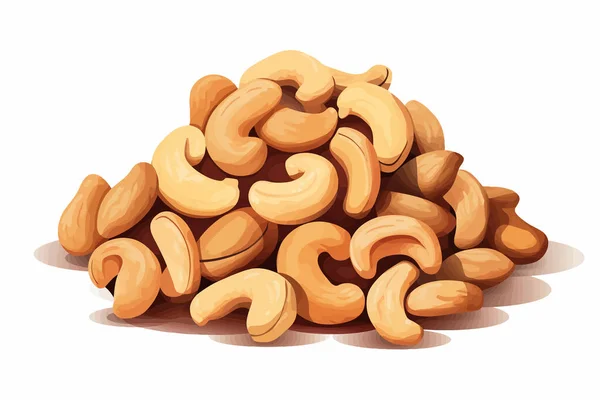 Cashews Nuts Vector Flat Minimalistic Isolated Illustration — Stock Vector