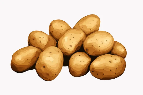 Patates Vektörü Yassı Minimalist Izole Çizim — Stok Vektör