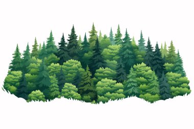 Orman vektörünün yukarıdan görüntüsü izole edilmiş.