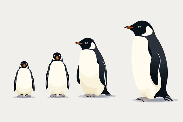 Пингвины Векторные Плоские Минималистично Изолированные Векторные Иллюстрации — стоковый вектор