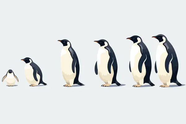 Пингвины Векторные Плоские Минималистично Изолированные Векторные Иллюстрации — стоковый вектор