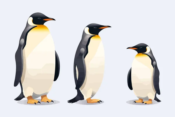 Pingvinek Vektor Lapos Minimalista Izolált Vektor Stílusú Illusztráció — Stock Vector