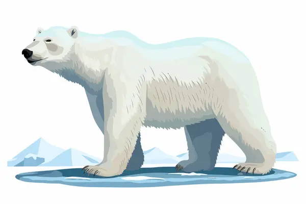 Векторный Плоский Полярный Медведь Минималистично Изолированная Иллюстрация Векторного Стиля — стоковый вектор