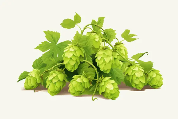 Hops Vector Flat Minimalistic Asset Isolated Vector Style Illustration — Stock Vector