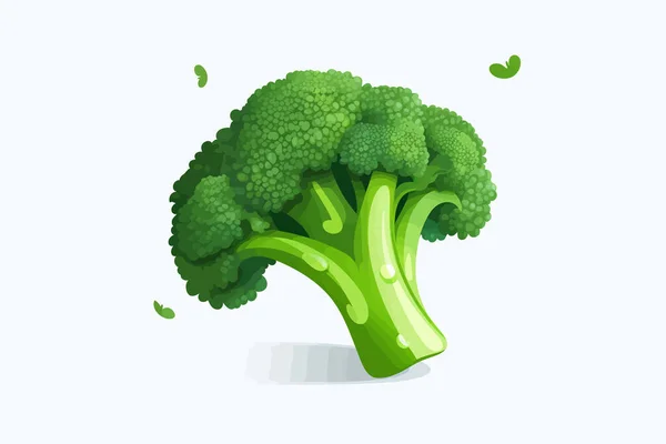 Ilustração Estilo Vetorial Isolado Minimalista Vetorial Brócolis — Vetor de Stock