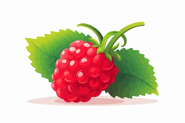 Raspberry Vector Flat Minimalistic Isolated Vector Style Illustration — Stock Vector