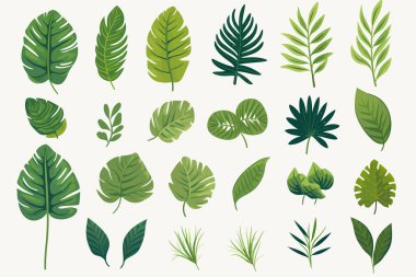 Rainforest vegetation set vector flat isolated vector style illustration clipart