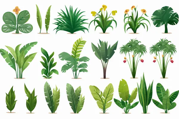 Selva Tropical Vegetación Conjunto Vector Plano Aislado Vector Estilo Ilustración — Vector de stock