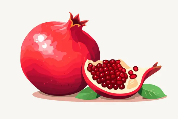 Ripe Pomegranate Vector Flat Minimalistic Isolated Vector Style Illustration — Stock Vector