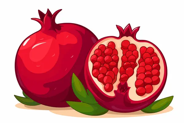 Ripe Pomegranate Vector Flat Minimalistic Isolated Vector Style Illustration — Stock Vector