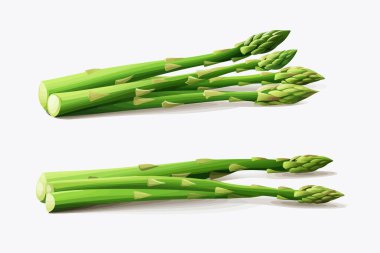 Asparagus vektörü yassı minimalistik izole vektör biçimi illüstrasyonu