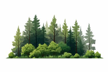 Orman manzarası varlık vektörü yassı minimalist izole vektör biçimi illüstrasyonu