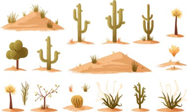 desert vegetation set isolated vector style illustration clipart