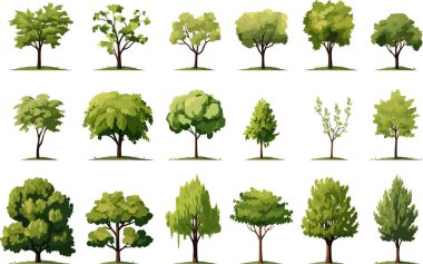 field trees set isolated vector style illustration clipart