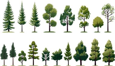 forest vegetation set isolated vector style illustration clipart