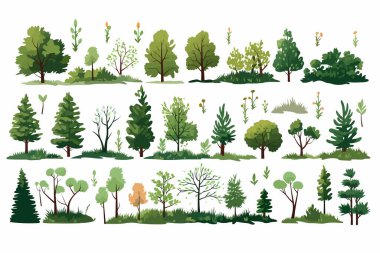 Orman bitki örtüsü izole vektör biçimi çizimi