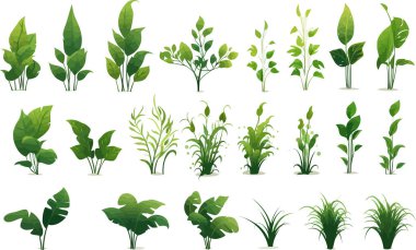 orman bitkileri izole edilmiş vektör biçimi çizimi oluşturdu