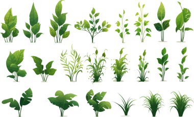 jungle vegetation set isolated vector style illustration clipart