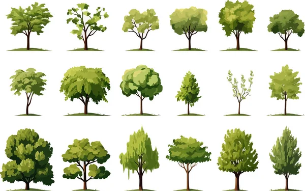 Деревья Поля Задают Изолированную Иллюстрацию Векторного Стиля — стоковый вектор