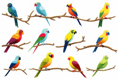 Renkli kuşlar izole vektör biçimi çizimi oluşturdular